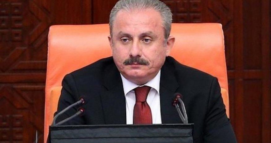 Speaker of Turkish Parliament: Turkic Council strengthens relations between Turkic-speaking states