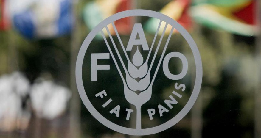 FAO: Наичувствительные секторы в Азербайджане - сельское хозяйство, водные ресурсы и лесоводство