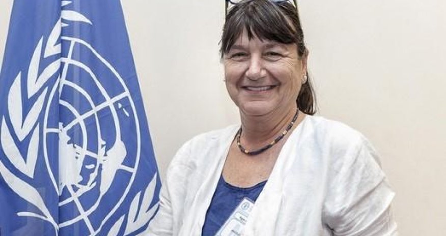 UN special rapporteur to visit Azerbaijan