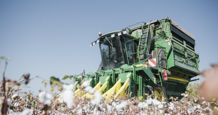В Азербайджане в 1,6 раза увеличился объем хлопка-сырца, сданного в приемные пункты