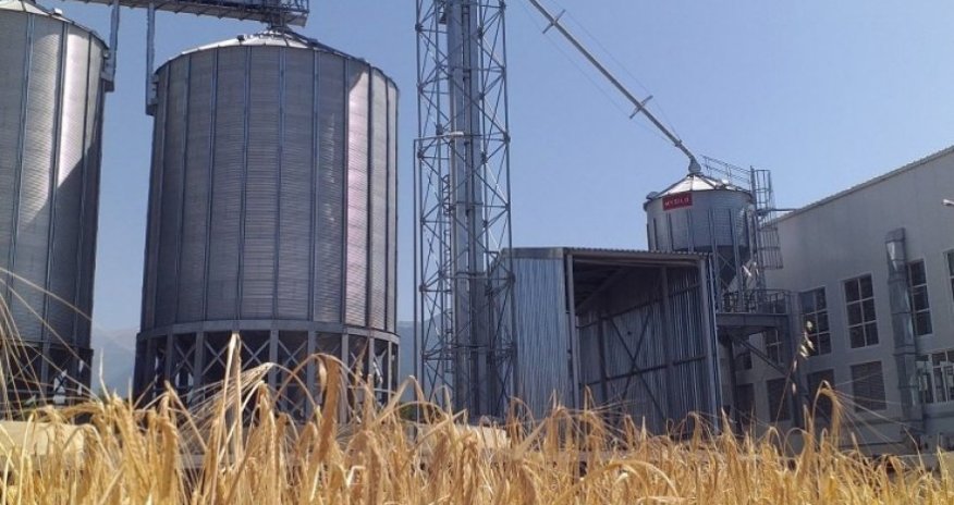 В Исмайыллы построят завод по переработке семян