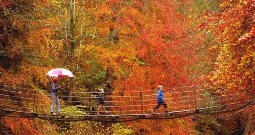 Прогноз погоды на завтра