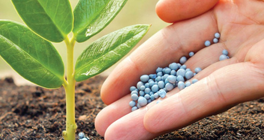 Азербайджан импортировал минеральных удобрений на $86 млн