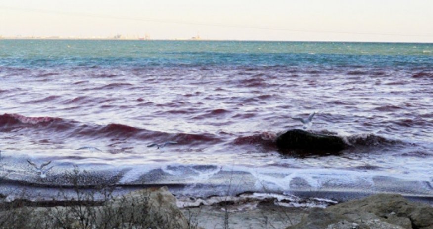 Землетрясение на Каспии