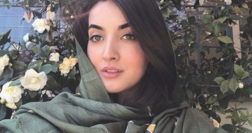 Azərbaycanlı gənc ABŞ-da Vladimir Pozneri susdurdu - VİDEO