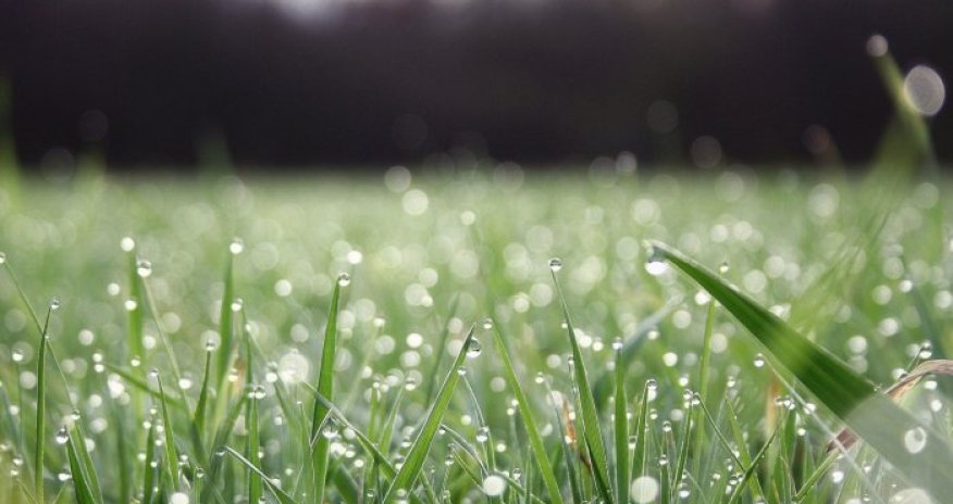 Həftəlik hava proqnozu açıqlanıb