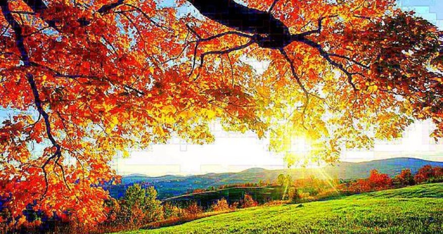 Sabah yaz havası olacaq