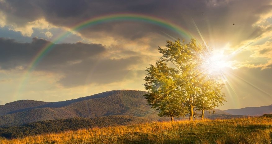 В Азербайджане воздух прогреется до 22 градусов
