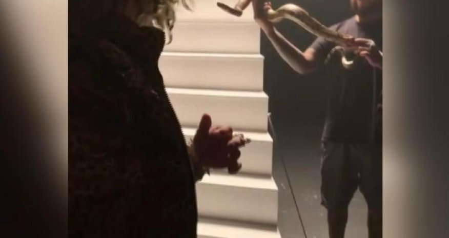 Məşhur repçini klip çəkilişində ilan sancdı