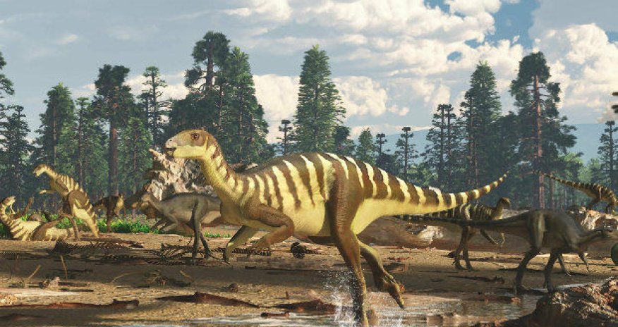 Tailandda yeni dinozavr növü tapıldı