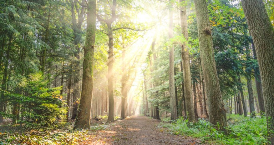 Прогноз погоды на завтра