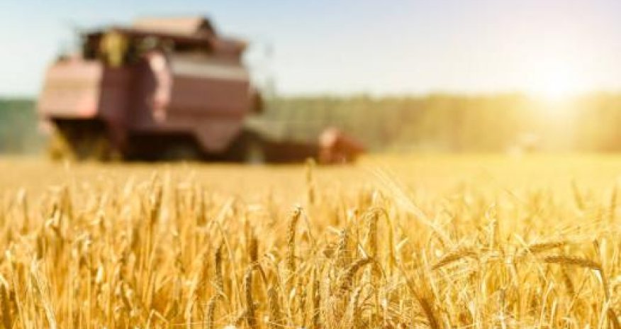 Россия и Азербайджан готовят программу агросотрудничества