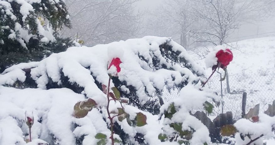 Azərbaycanda payız qarı