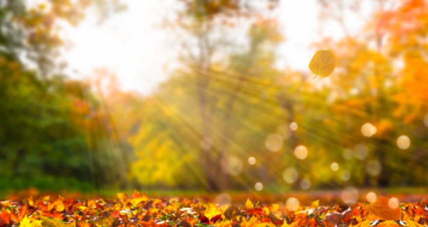 Прогноз погоды на завтра