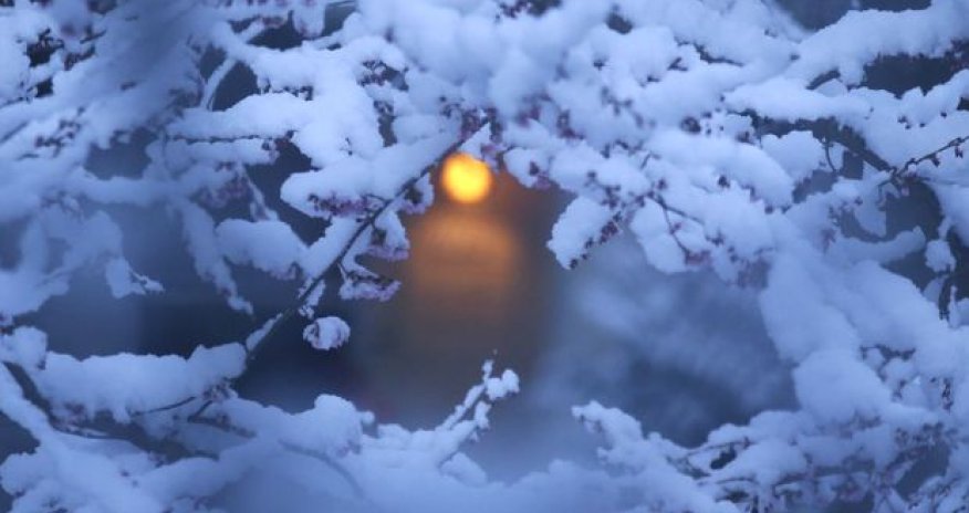 Hava kəskin soyuyur: külək, yağış, qar - XƏBƏRDARLIQ