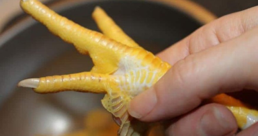 Toyuq ayaqlarını zibil qutusuna ATMAYIN! Ölünü dirildir - VİDEO