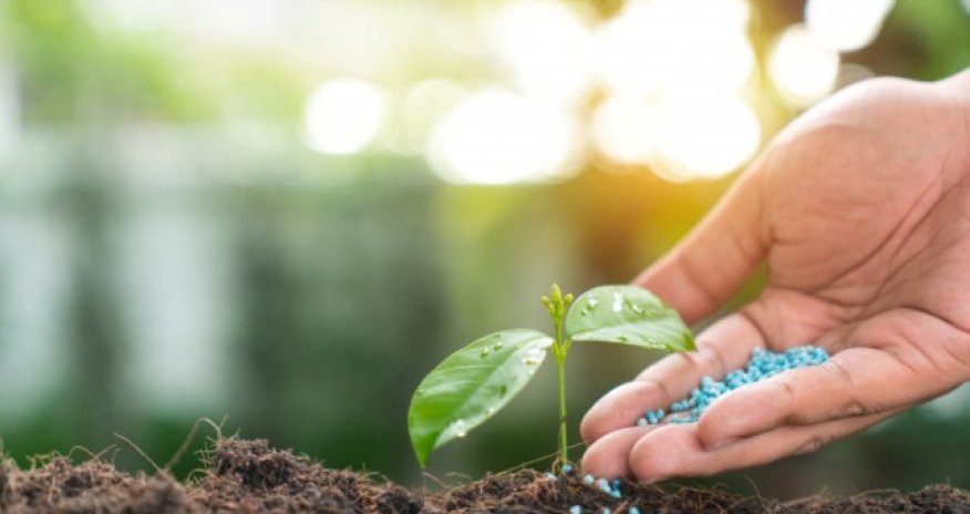 В Гаджигабуле запускается азербайджано-турецкое предприятие по производству удобрений
