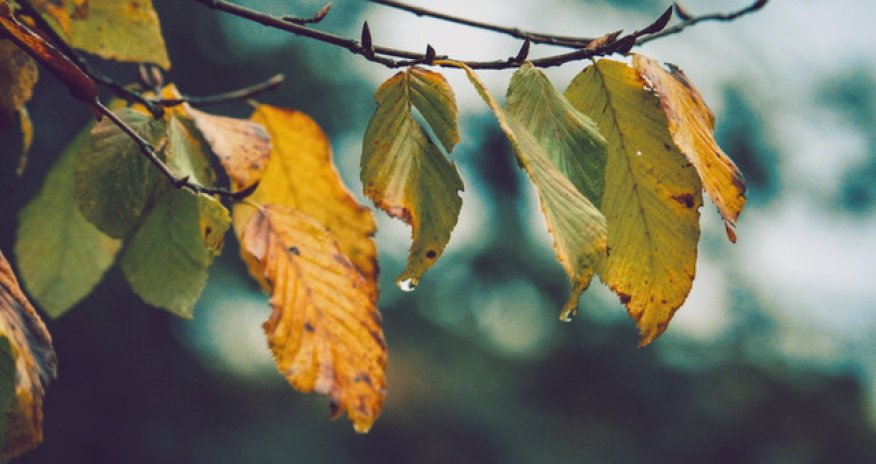 Прогноз погоды на завтра