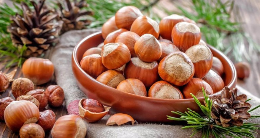 Azhazelnut поставит в ОАЭ фундука на $200 тыс.