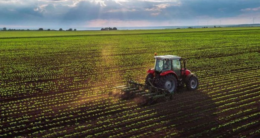 Фермеры получат субсидии через AKIA