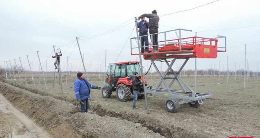 Впервые в Азербайджане создается «умный сад» -