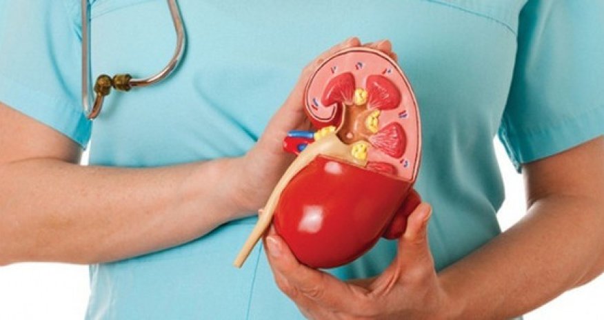 В 2019 году 34 пациентам в Азербайджане была проведена операция по пересадке почки