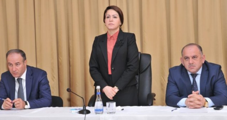 İcra hakimiyyəti başçısı İradə Gülməmmədovanın ailəsinə məxsus biznes - FOTOLAR