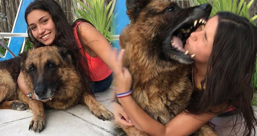 Cəmi bir saniyə sonra... - ÜRƏYİ ZƏİF OLANLAR, BAXMAYIN! - FOTOLAR