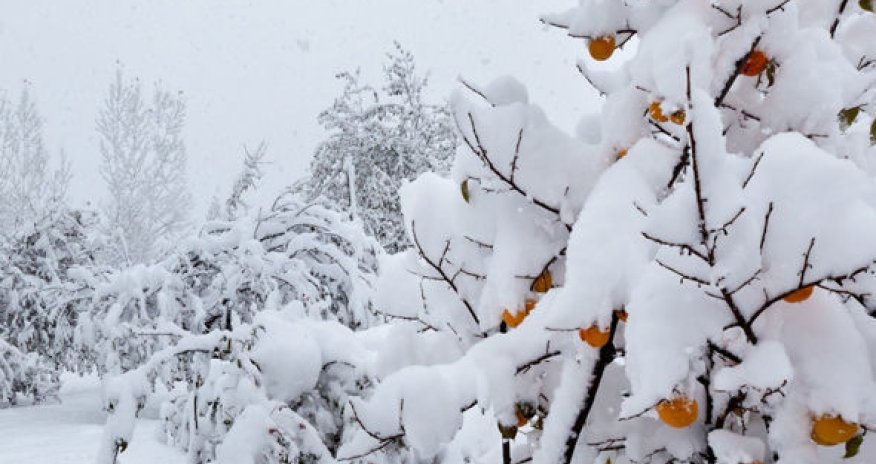 Azərbaycanda yarım metr hündürlüyündə qar yağdı - FAKTİKİ HAVA