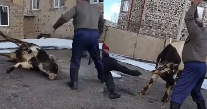 Ermənilərin vəhşiliyinin görüntüsü - (18+VİDEO)