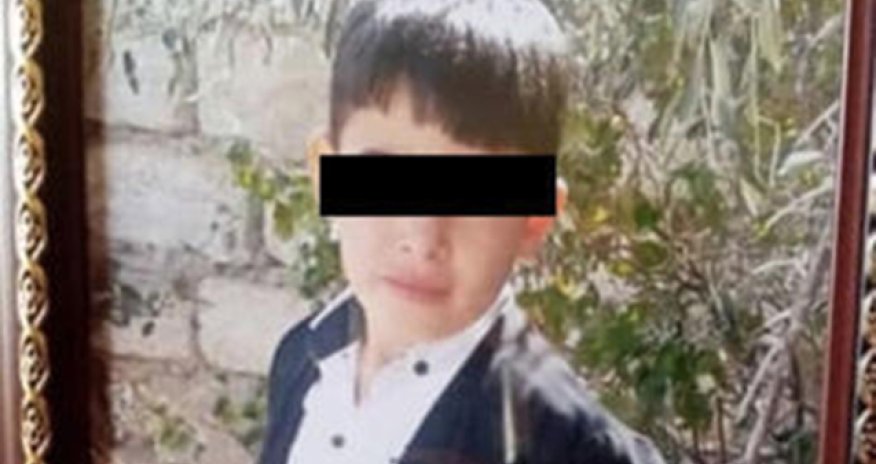 Bakıda it dişləyən 4-cü sinif şagirdi öldü