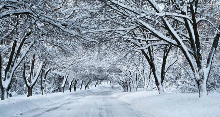 Сотрудники МЧС спасли людей, застрявших на заснеженной дороге в Шамахы