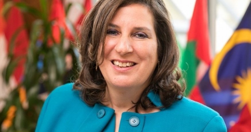 Amerikalı professordan Paşinyana sərt cavab - FOTO