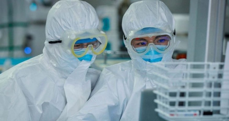 Havalar isinəndə koronavirus məhv olacaq? - Professordan açıqlama