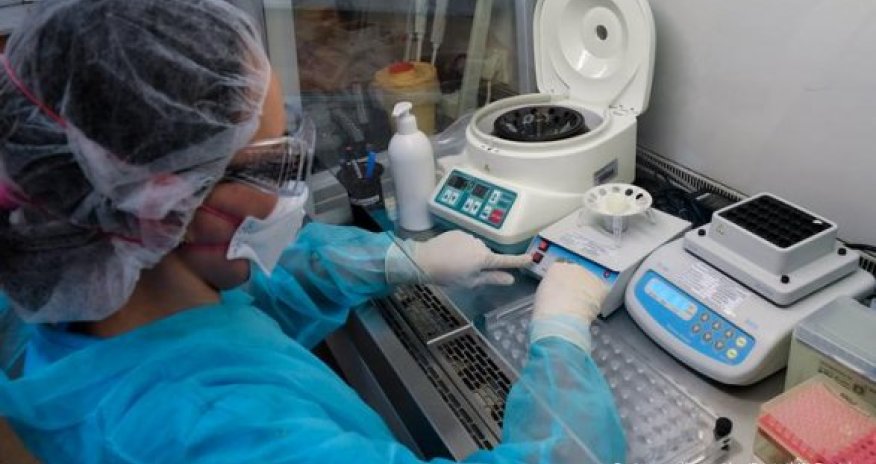 Azərbaycanda daha 43 nəfərdə koronavirus tapıldı - SON DƏQİQƏ