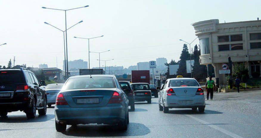 В Минэкологии рассказали о пересадке деревьев при расширении дороги Баку-Сумгайыт