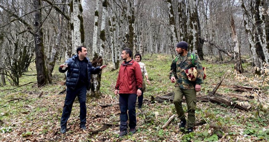 Prezident icra başçısını bu videoya görə cəzalandırıb — VİDEO