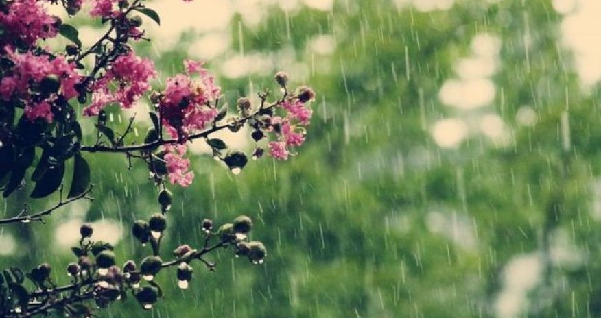 Завтра в Азербайджане местами ожидаются дожди