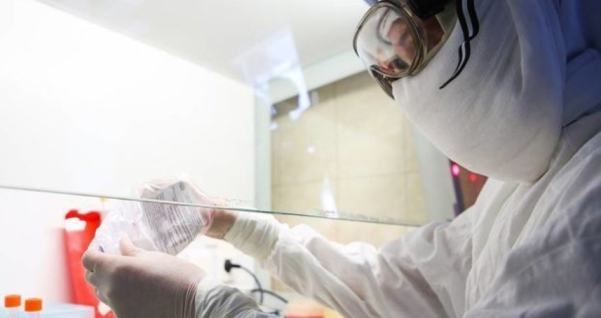 Azərbaycanda daha iki nəfər koronavirusdan öldü: Rekord yoluxma faktı - RƏSMİ + VİDEO