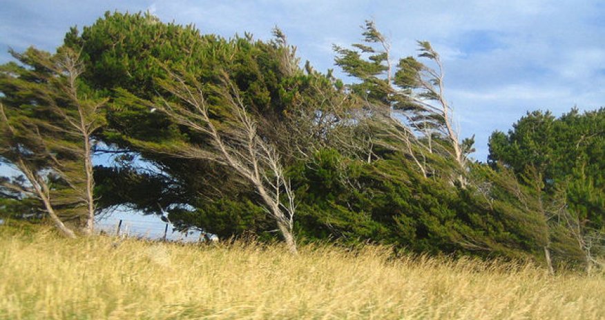 İyun ayının HAVA PROQNOZU