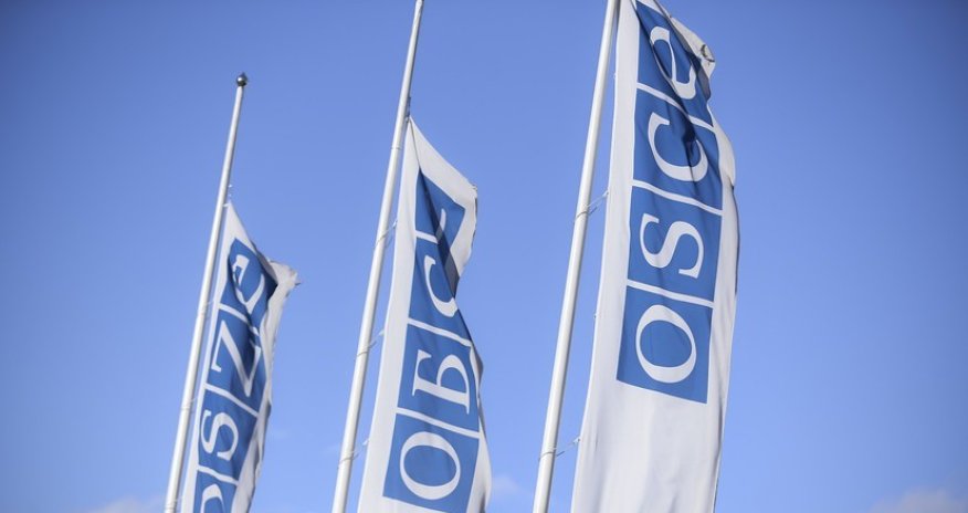 В ОБСЕ обеспокоены применением силы против журналистов в США