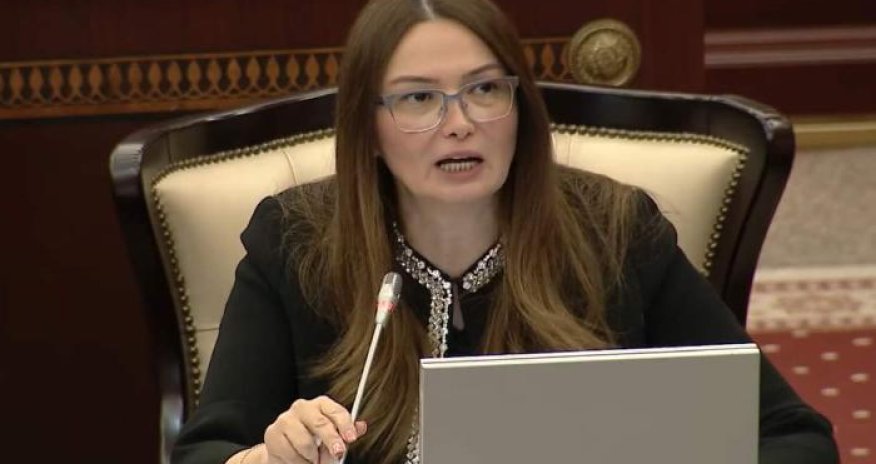 Qənirə Paşayeva Baş nazirə müraciət etdi - Xalq artistinə görə