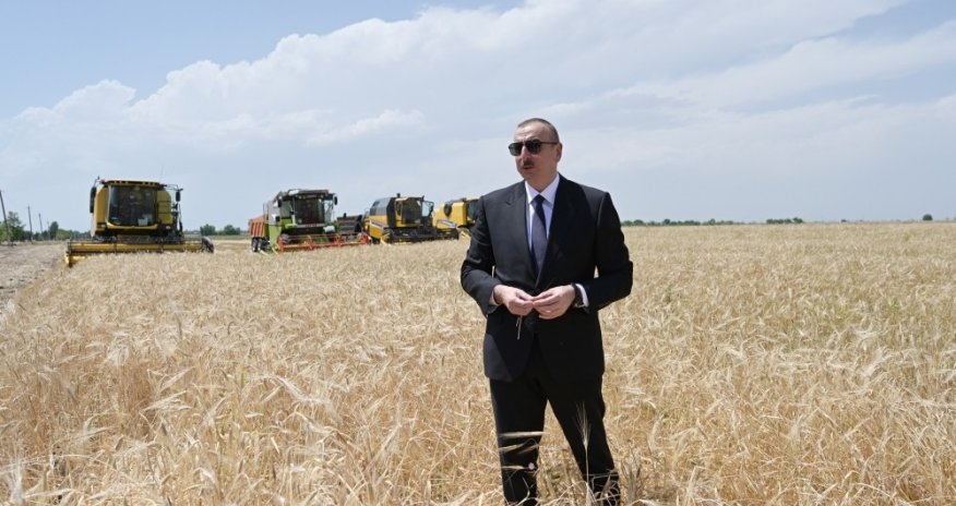 Президент присутствовал на церемонии начала уборки пшеницы в Агджабеди