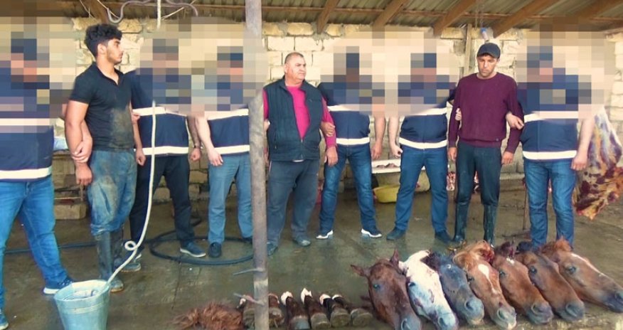 Ölü at əti satan şəxslər polis tərəfindən saxlanıldı-FOTOLAR