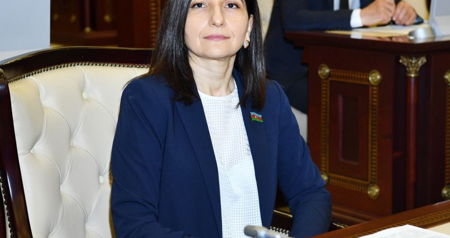 Sevil Mikayılova: Azərbaycan Prezidentinin apardığı siyasətin əsasında vətəndaşların təhlükəsizliyi və sağlamlığı dayanır (VİDEO)