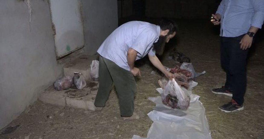 Bakıda 150 kiloqram kəsilmiş at əti aşkarlanıb- VİDEO