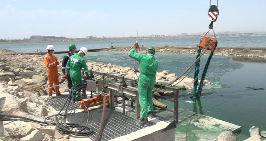 Bakını üfunətə qərq edən Böyükşor gölündə təmizlik işlərinə başlandı - VİDEO