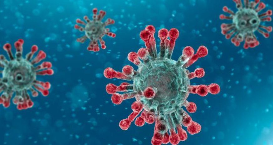 Azərbaycanlı hakim-inspektorun təyinatı ləğv olunub