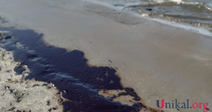 Bakıdakı  çimərliklərdən birinə mazut axıdıldı - VİDEO