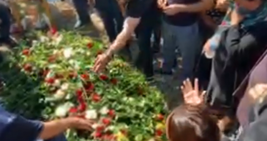 Lotu Qulinin bacısı fəryad etdi -